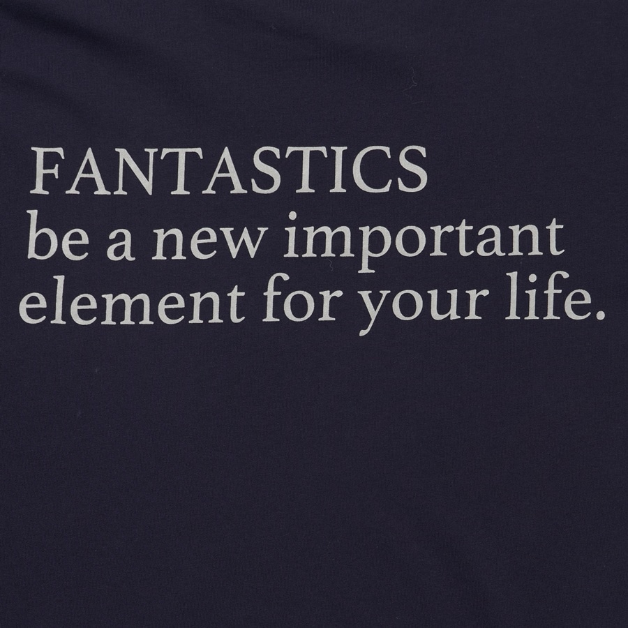 FAN FAN STEP Tee SS 詳細画像 NAVY 4