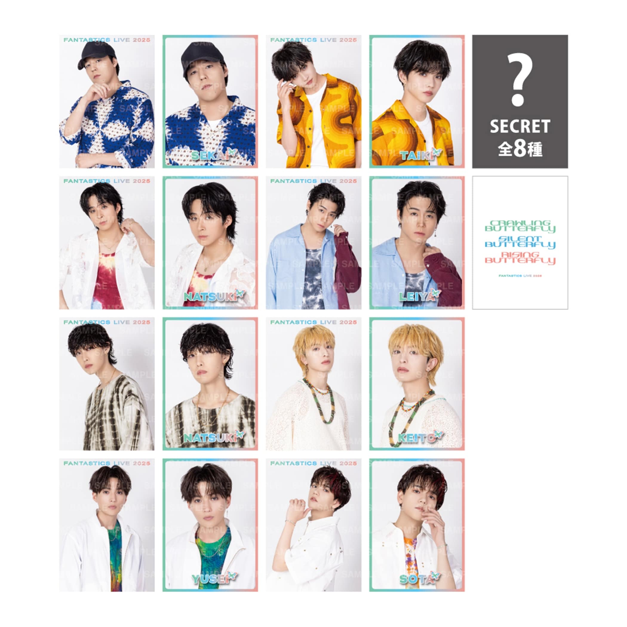 EXILE TRIBE STATION ONLINE STORE｜BUTTERFLY フォトカード/全