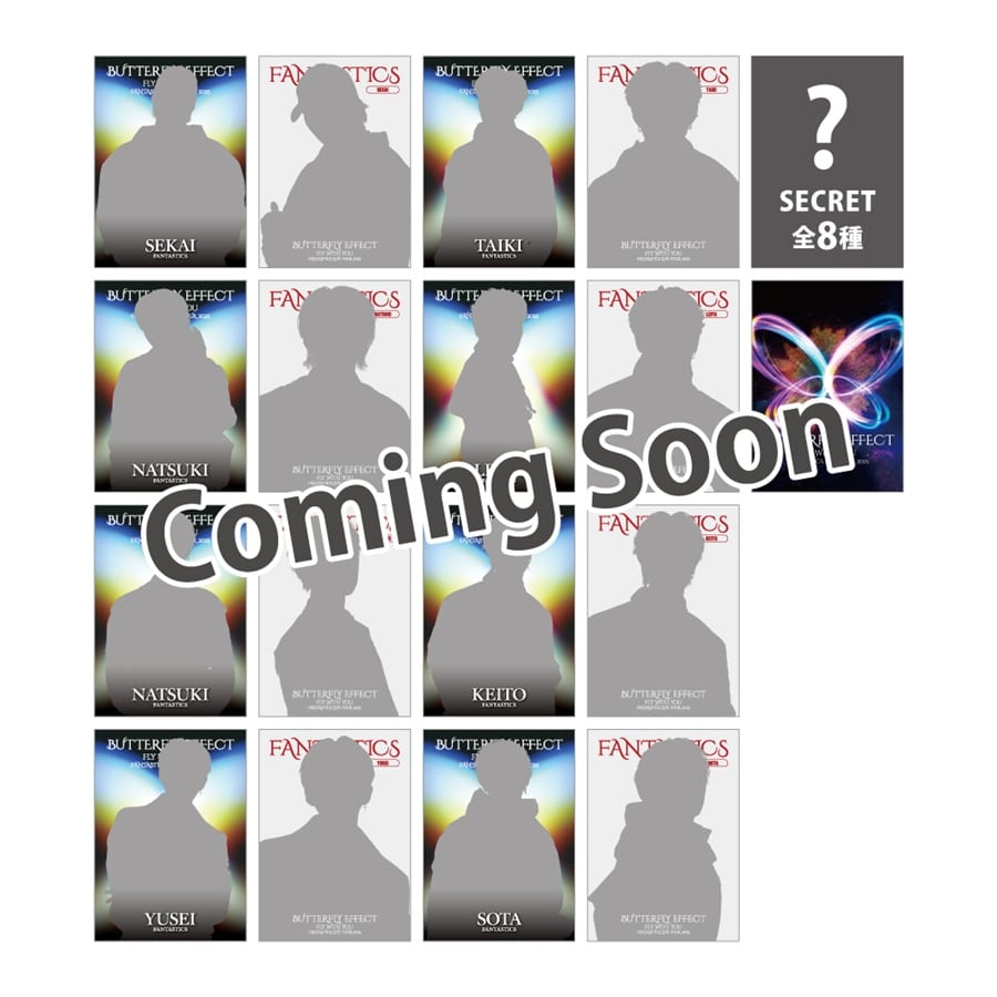 BUTTERFLY EFFECT -FLY WITH YOU- フォトカード/全16種+シークレット8種   詳細画像 OTHER 1