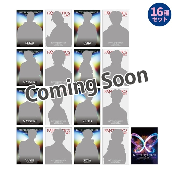 BUTTERFLY EFFECT -FLY WITH YOU- フォトカード16種セット  