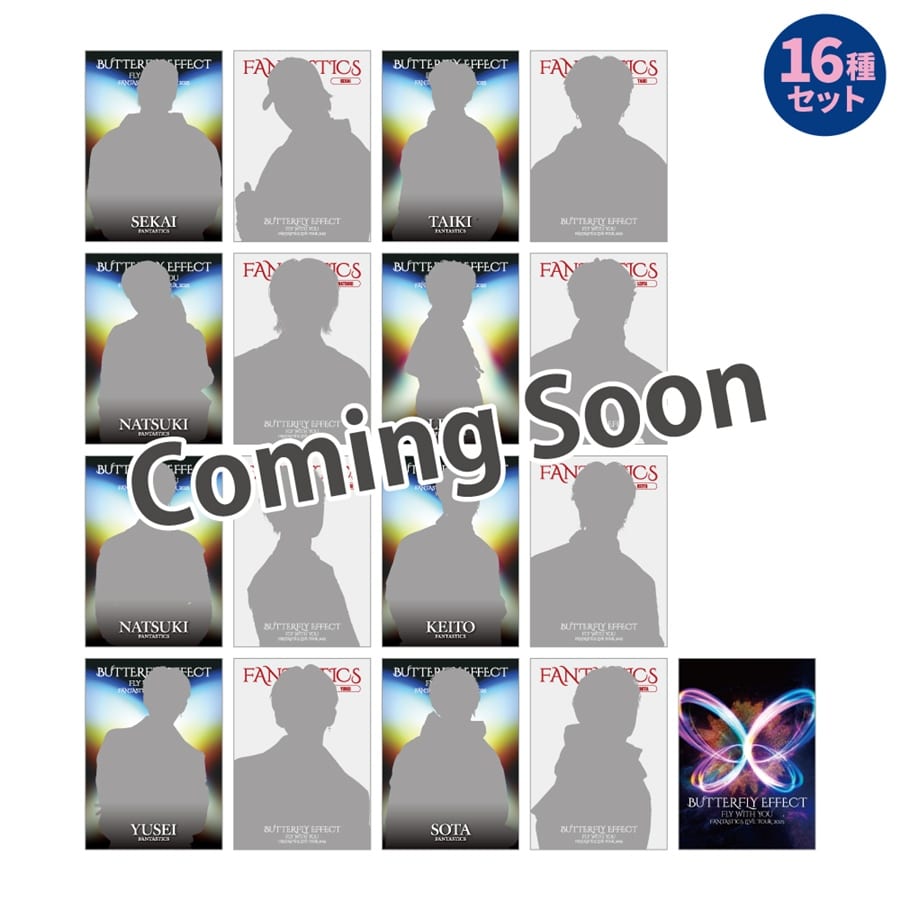 BUTTERFLY EFFECT -FLY WITH YOU- フォトカード16種セット   詳細画像 OTHER 1