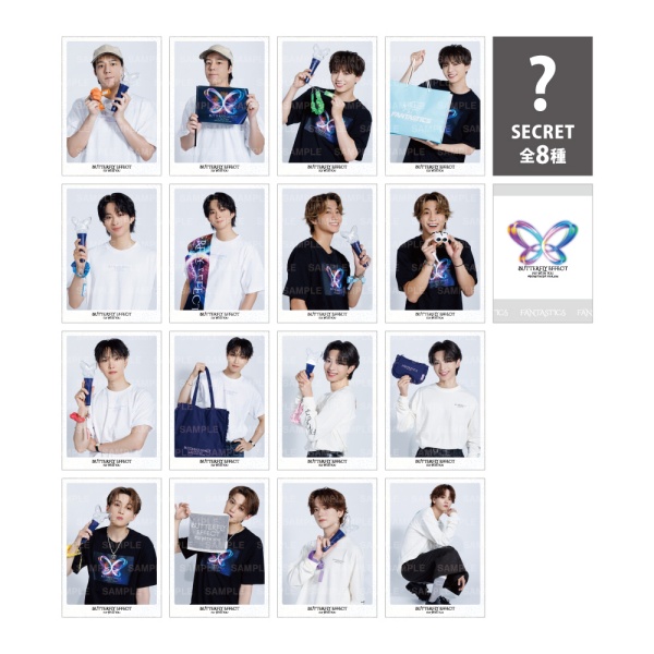 BUTTERFLY EFFECT -FLY WITH YOU- フォトカードⅡ/全16種+シークレット8種