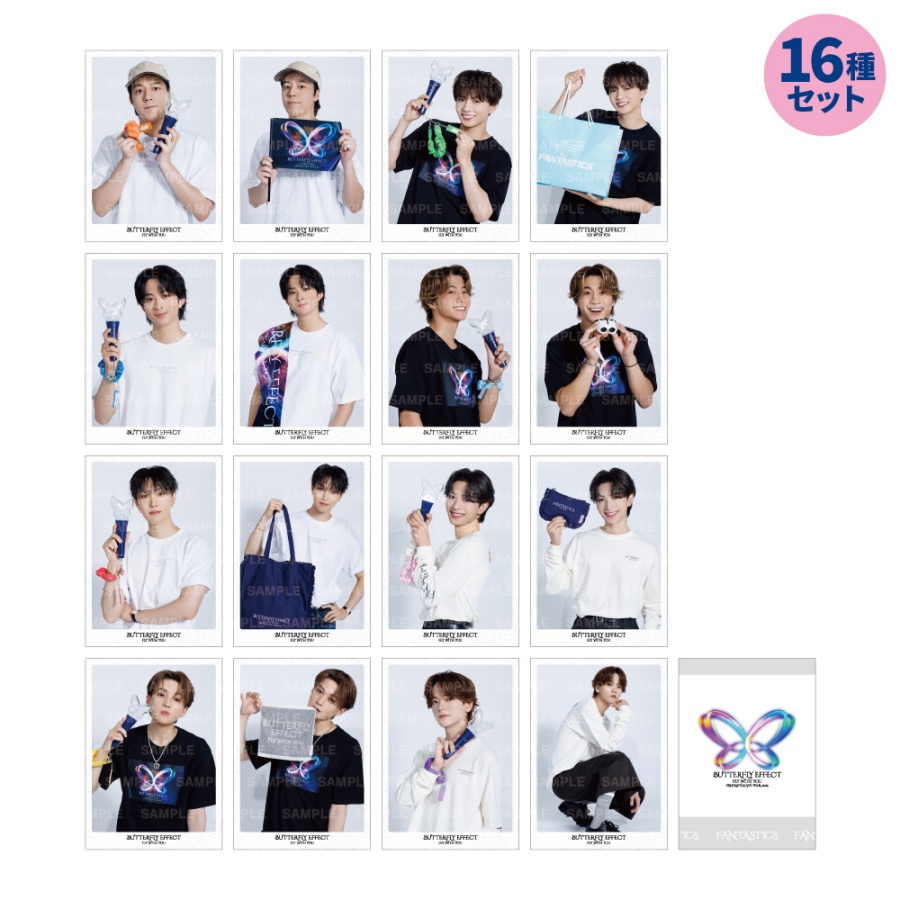 BUTTERFLY EFFECT -FLY WITH YOU- フォトカードⅡ16種セット 詳細画像 OTHER 1