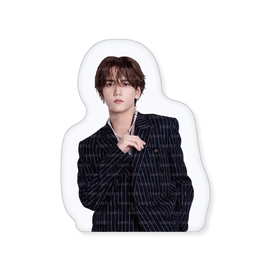 FANTASTICS 2026 カレンダー ダイカットクッション 詳細画像 中島颯太 1