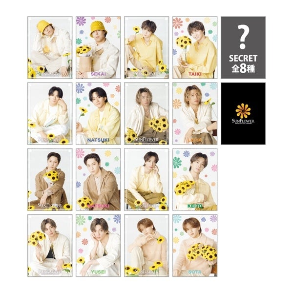 SUNFLOWER フォトカード/全16種+シークレット8種