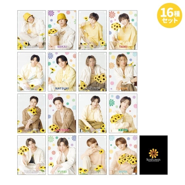 SUNFLOWER フォトカード16種セット