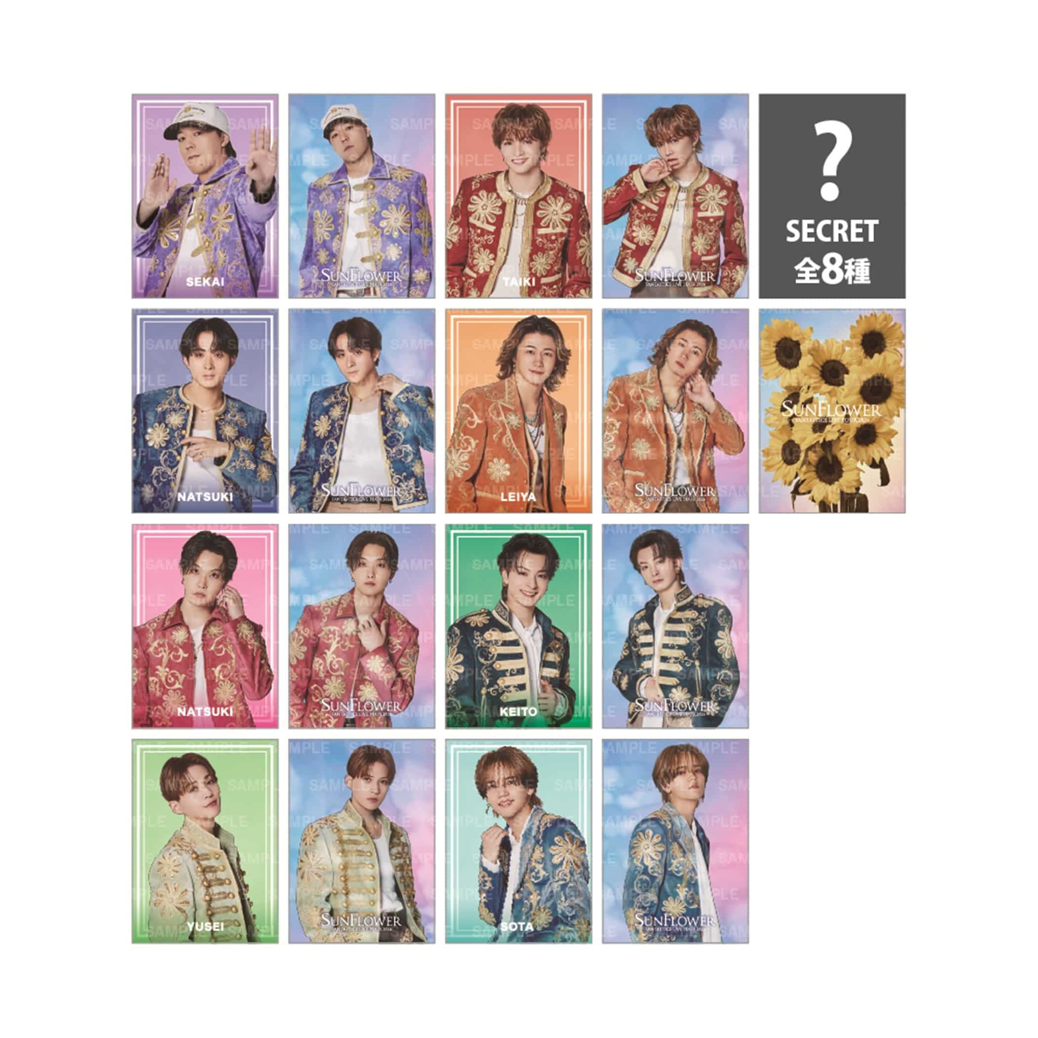 EXILE TRIBE STATION ONLINE STORE｜SUNFLOWER フォトカードⅡ/全16種+