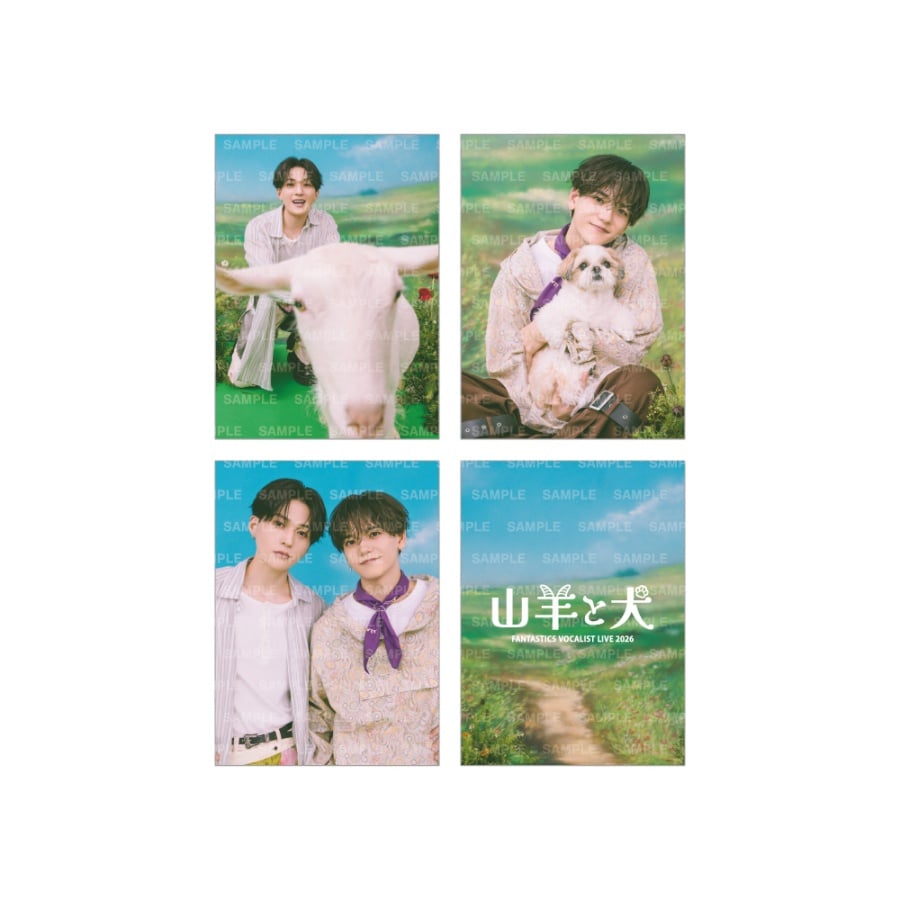 山羊と犬 フォトカード3枚セット/B 詳細画像 OTHER 1