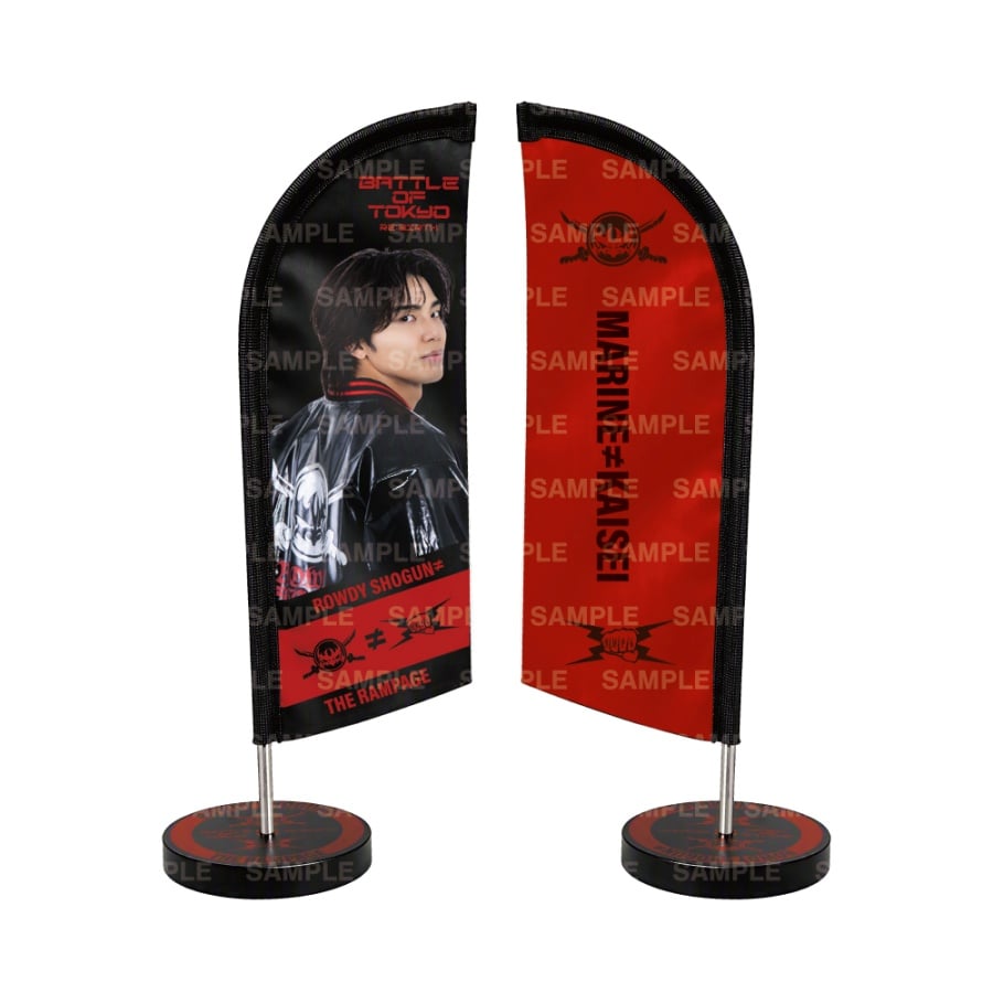 RE:BIRTH ミニバナー/THE RAMPAGE 詳細画像 武知海青 1