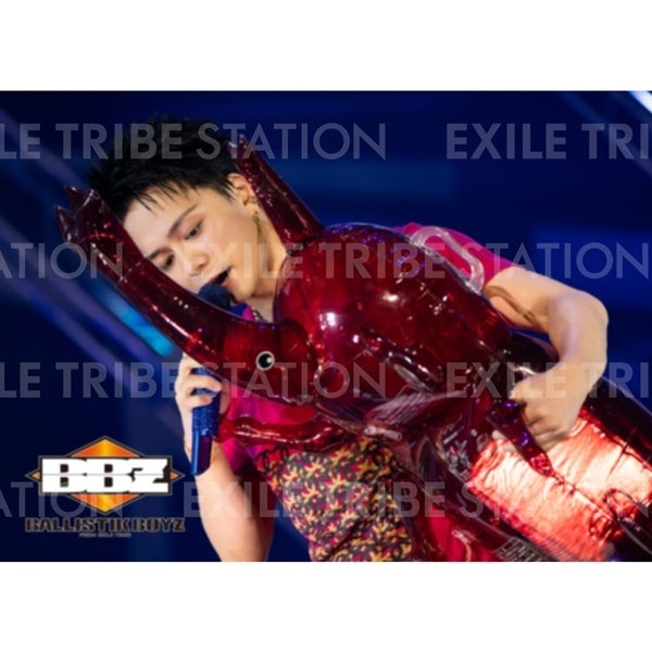 IMPACT LIVE PHOTO 039