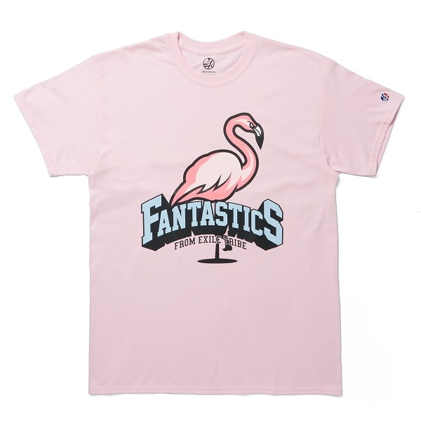DODGEBALL KINGDOM FNT Tee SS 詳細画像
