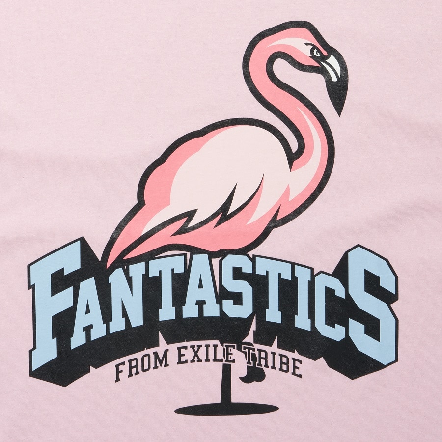 DODGEBALL KINGDOM FNT Tee SS 詳細画像 PINK 5