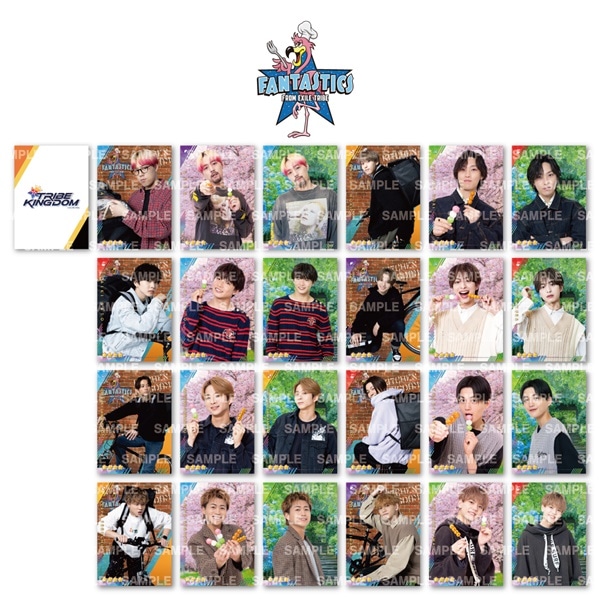 TRIBE KINGDOM ビジュアルカード/FANTASTICS/全24種