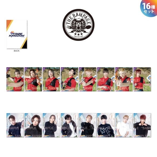 EXILE TRIBE STATION ONLINE STORE｜BATTLE OF TOKYO クリアファイル2枚セット/THE RAMPAGE  vs THE JET BOY BANGERZ