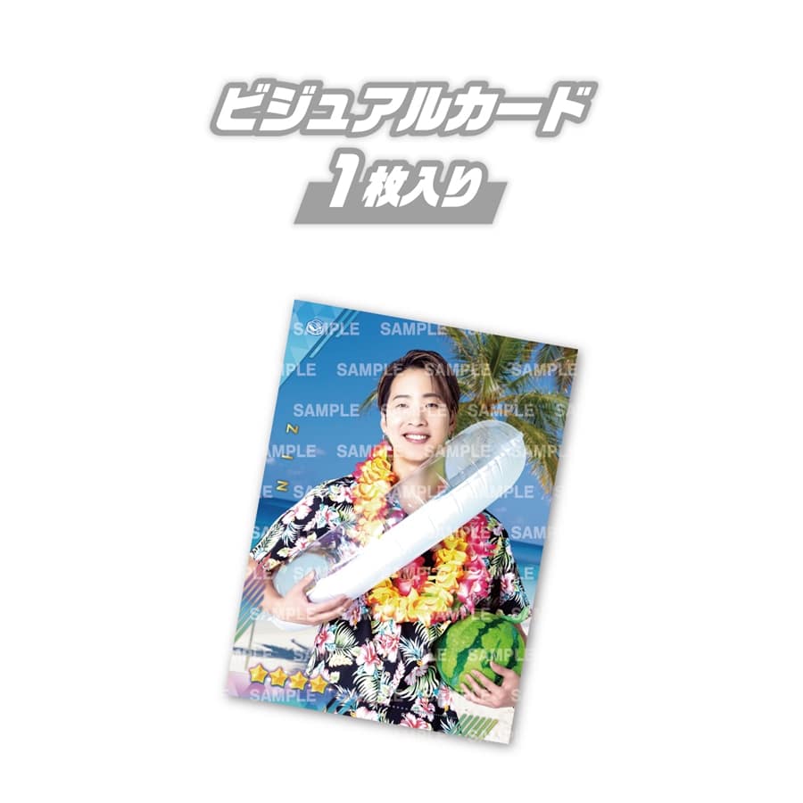 TRIBE KINGDOM  アロハver. ビジュアルカード/THE RAMPAGE/WHITE/全16種 詳細画像 カラー共通 3