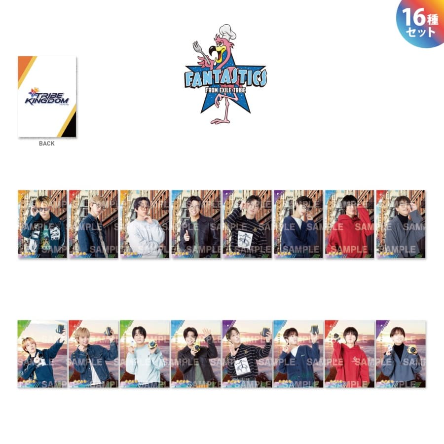 TRIBE KINGDOM 私服＆メガネver. ビジュアルカード/FANTASTICS/16種セット 詳細画像 FANTASTICS 1
