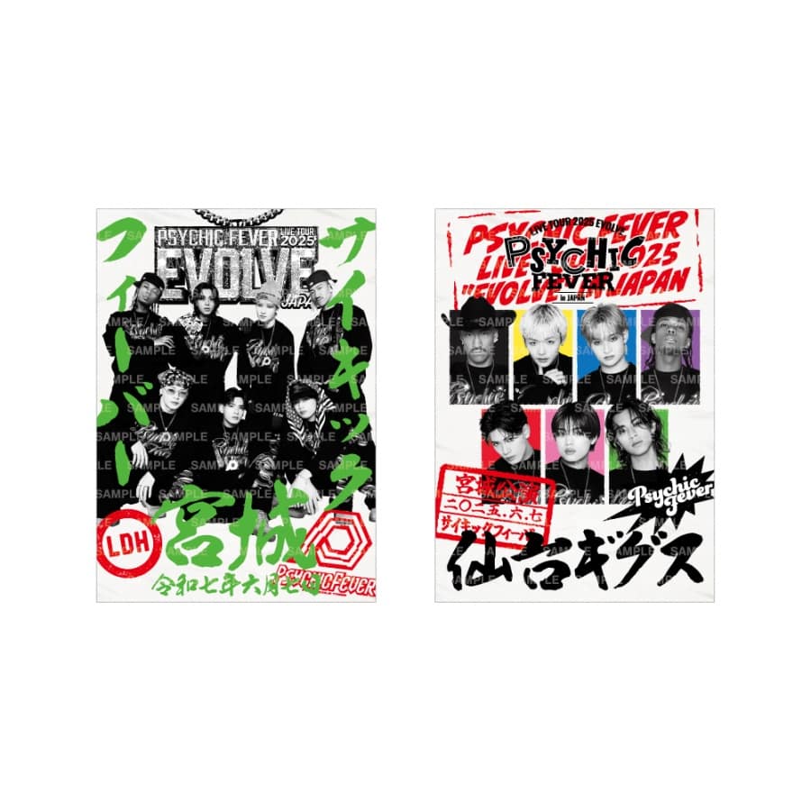 【6/7(土)宮城】EVOLVE 御楽印2枚セット 詳細画像 OTHER 1