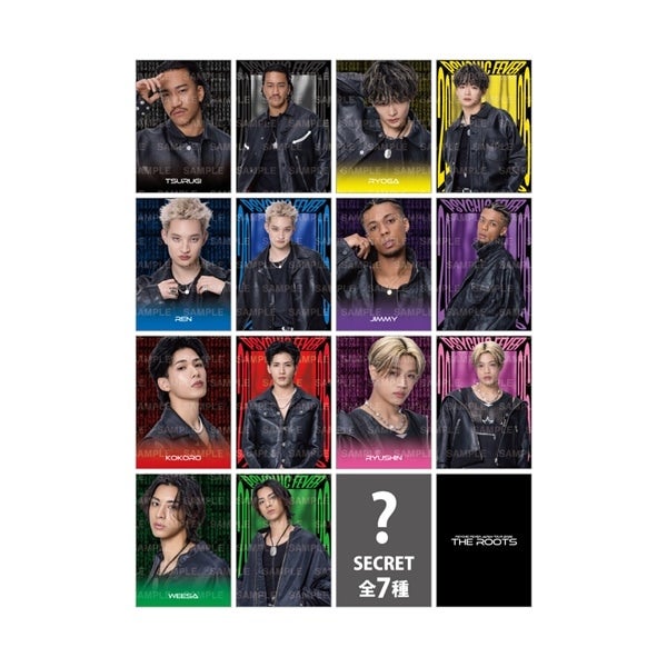 THE ROOTS フォトカード/全14種+シークレット7種