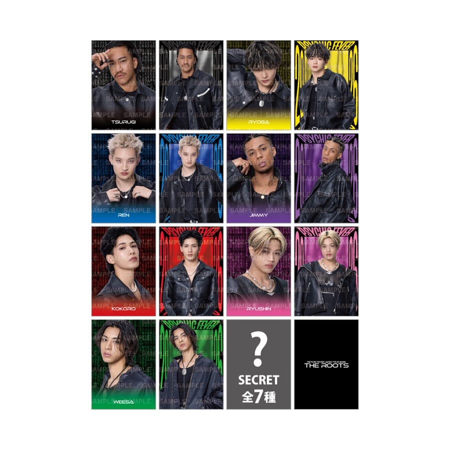 THE ROOTS フォトカード/全14種+シークレット7種 詳細画像 OTHER 1