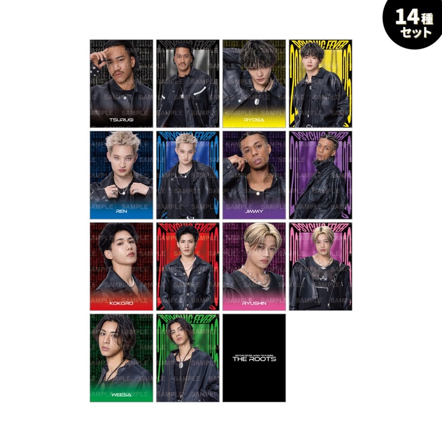 THE ROOTS フォトカード14種セット 詳細画像 OTHER 1