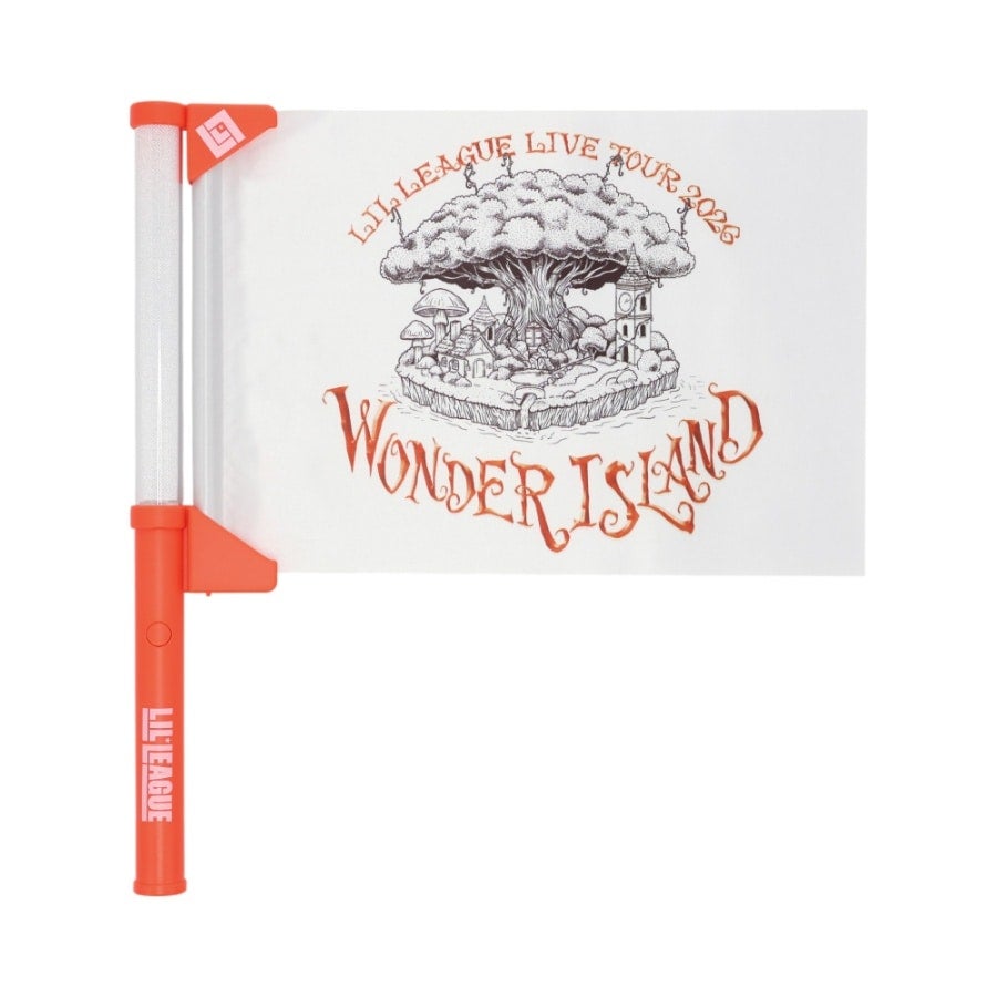 OFFICIAL FLAG LIGHT PERFECT YEAR EDITION/LIL LEAGUE ver. 詳細画像 カラー共通 7