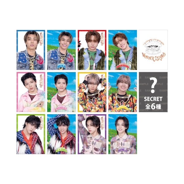 Wonder Island フォトカード全12種+シークレット6種