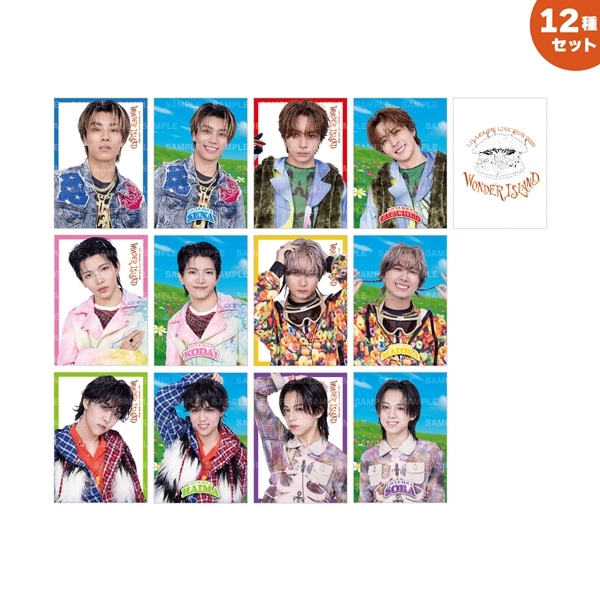 Wonder Island フォトカード12種セット
