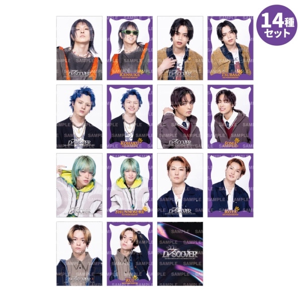 D7SCOVER フォトカード14種セット