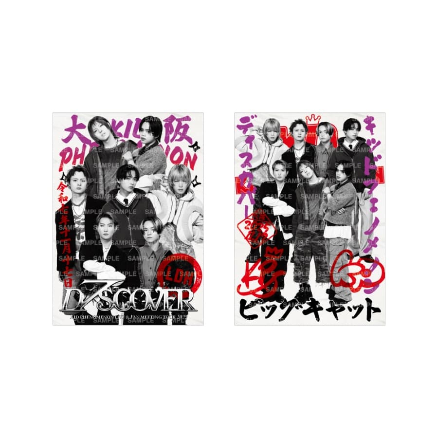 【11/17大阪】D7SCOVER 御楽印2枚セット 詳細画像 OTHER 1