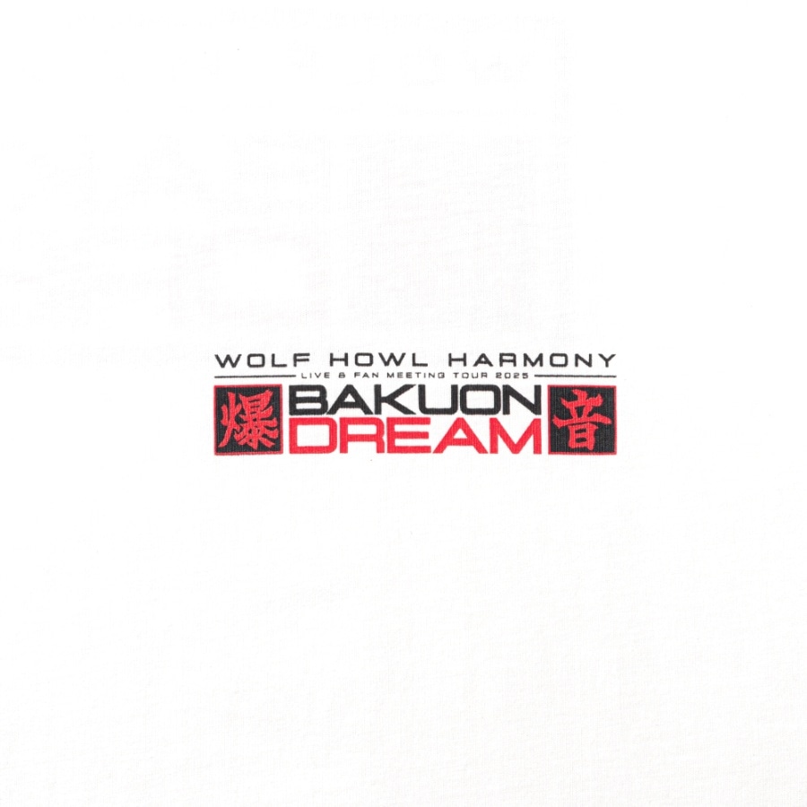 BAKUON DREAM ロングスリーブTシャツ/WHITE 詳細画像 カラー共通 2