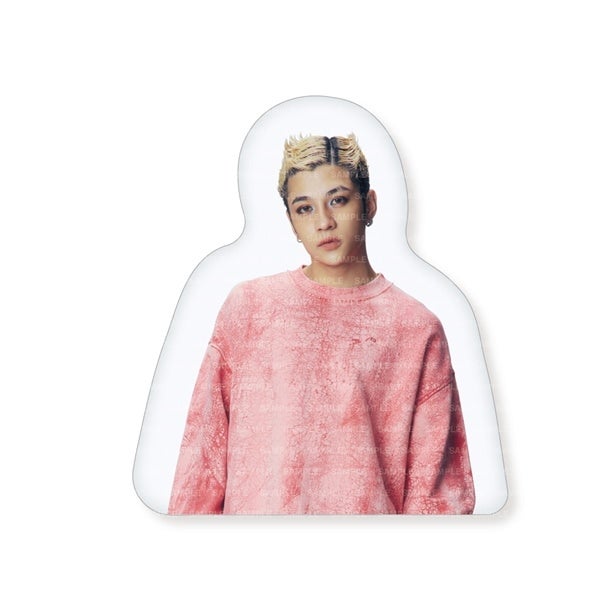 WOLF HOWL HARMONY 2026 カレンダー ダイカットクッション 詳細画像