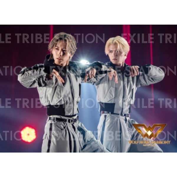 WOLF HOWL HARMONY BAKUON DREAM LIVE PHOTO 010