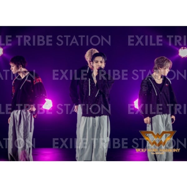 WOLF HOWL HARMONY BAKUON DREAM LIVE PHOTO 028
