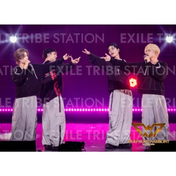 WOLF HOWL HARMONY BAKUON DREAM LIVE PHOTO 030