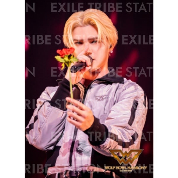 WOLF HOWL HARMONY BAKUON DREAM LIVE PHOTO 040