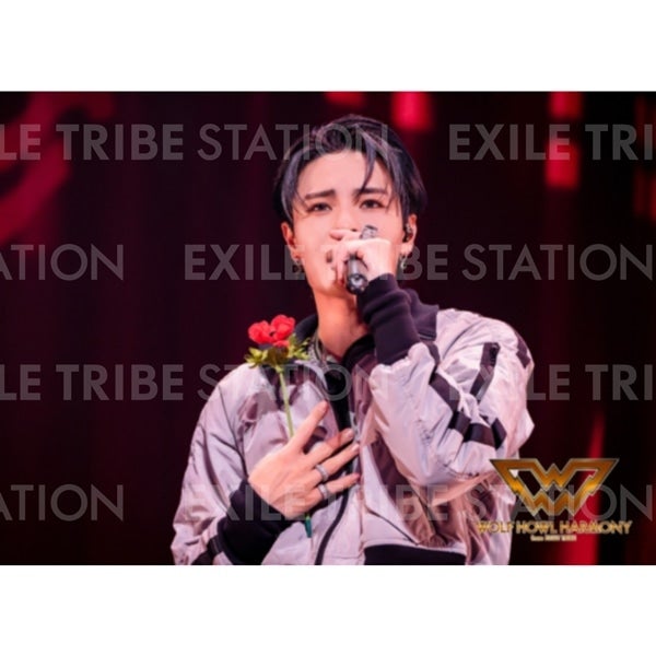 WOLF HOWL HARMONY BAKUON DREAM LIVE PHOTO 059