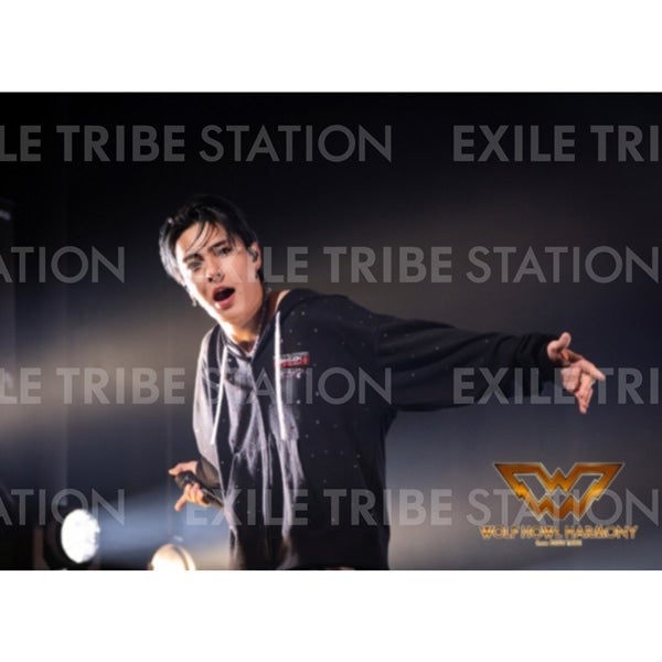 WOLF HOWL HARMONY BAKUON DREAM LIVE PHOTO 063