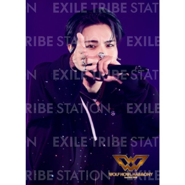 WOLF HOWL HARMONY BAKUON DREAM LIVE PHOTO 069