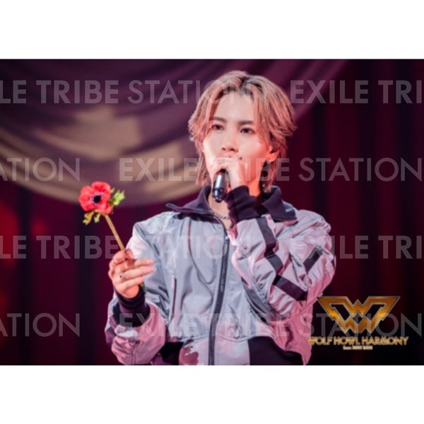 WOLF HOWL HARMONY BAKUON DREAM LIVE PHOTO 100