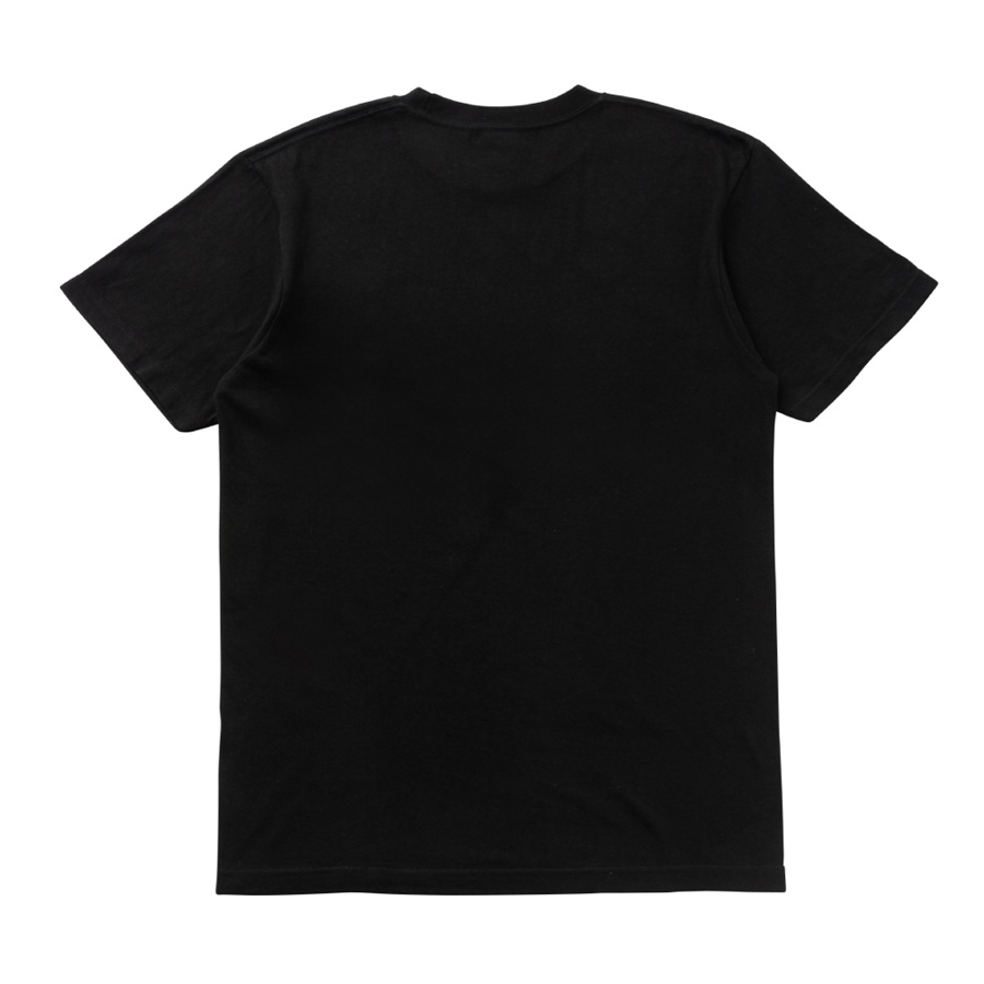 RAG POUND Paisley Tee 詳細画像 カラー共通 1