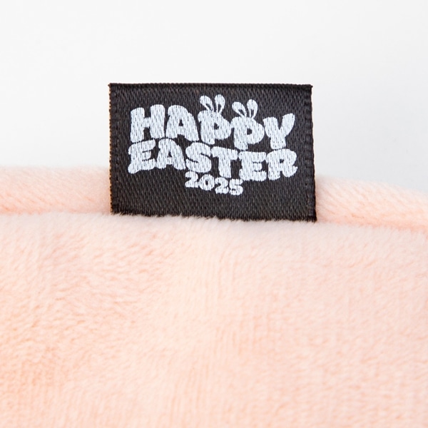 EASTER 2025 ポーチ/THE RAMPAGE 詳細画像