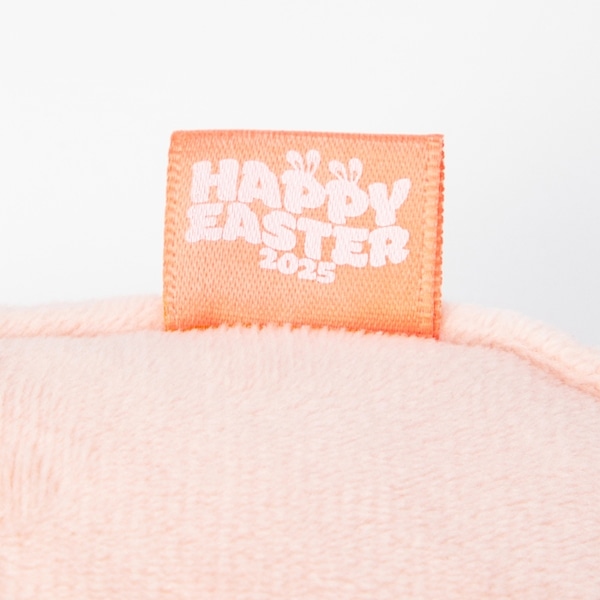 EASTER 2025 ポーチ/BALLISTIK BOYZ 詳細画像