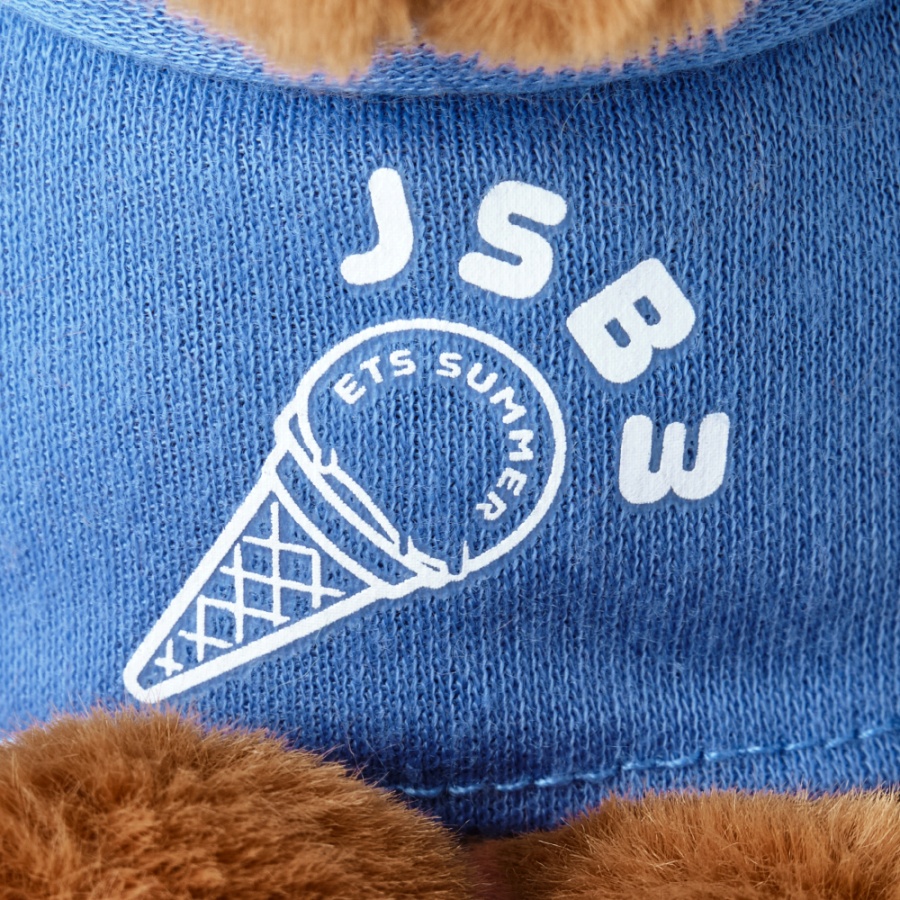 SUMMER 2025 EXILE TRIBEAR ぬいぐるみキーホルダー/三代目 J SOUL BROTHERS 詳細画像 カラー共通 3