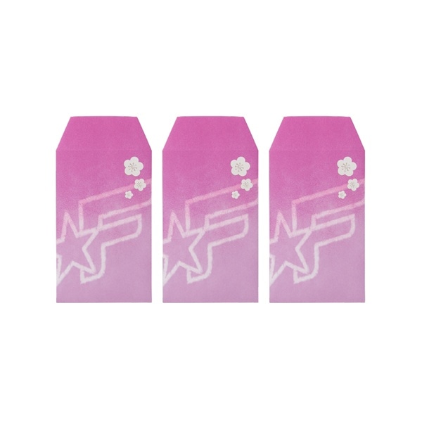 NEW YEAR 2026 ポチ袋3枚セット/FANTASTICS