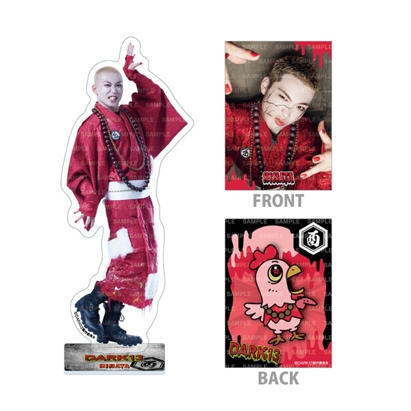 DARK13 BIGアクリルスタンド&フォトカードセット/HINATA