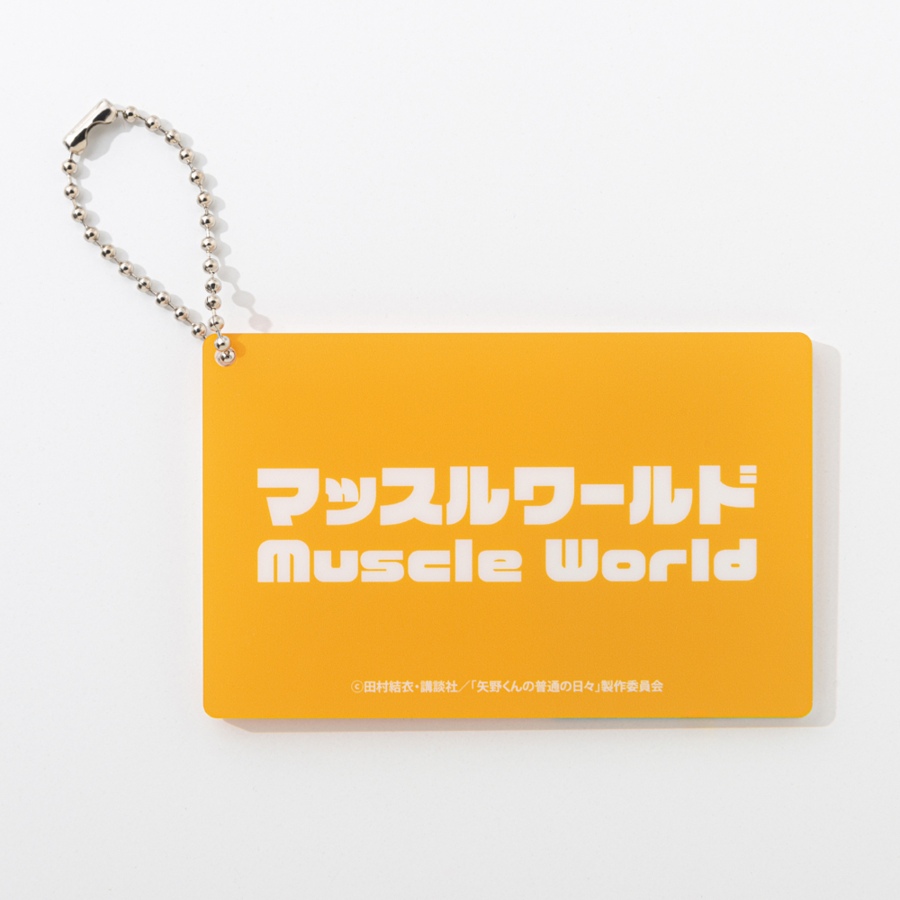 アニメ「矢野くんの普通の日々」 アクリルチャーム 詳細画像 カラー共通 1