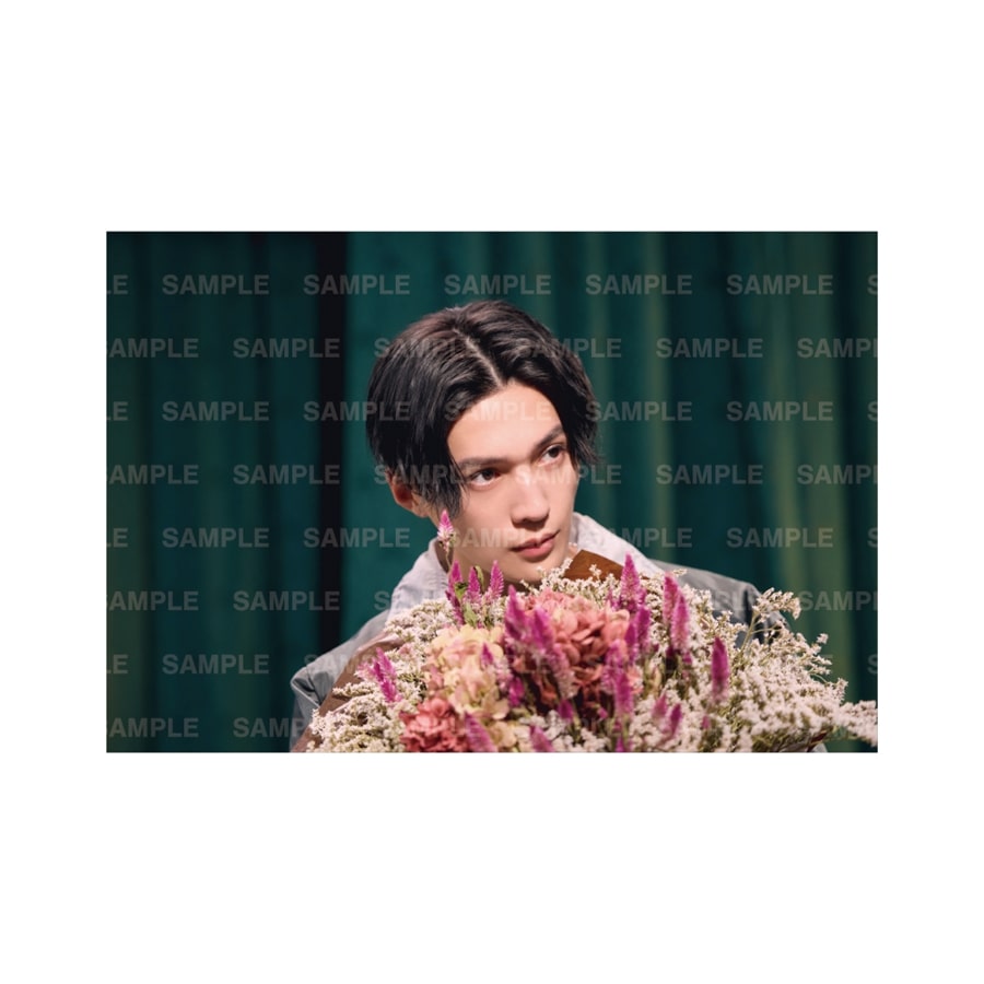 隣のステラ Blu-ray 豪華版 2枚組 詳細画像 カラー共通 1