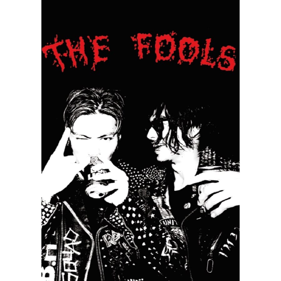 THE FOOL MOVIE 2 THE FOOLS/EXILE AKIRA 詳細画像 OTHER 1