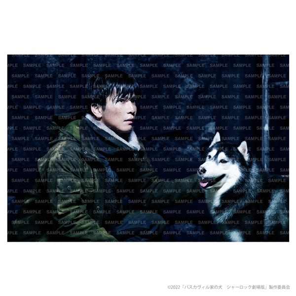バスカヴィル家の犬 シャーロック劇場版 DVD 特別版 詳細画像