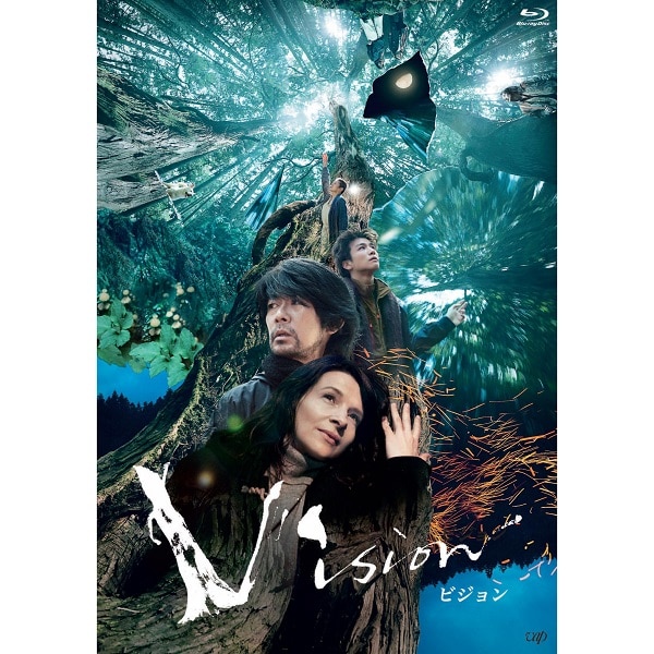 Vision DVD 通常版